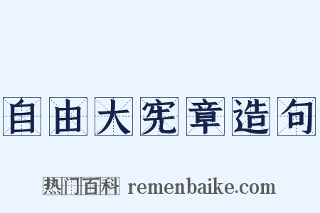 自由大宪章造句是什么意思的图片